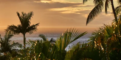 Best Luxury Resorts on Maui